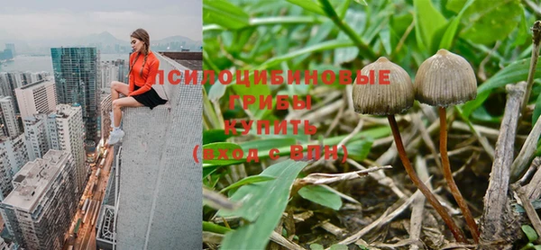 таблы Волоколамск
