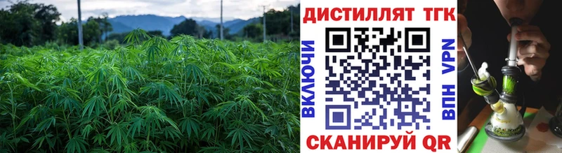 где можно купить   Карачев  darknet телеграм  Дистиллят ТГК THC oil 